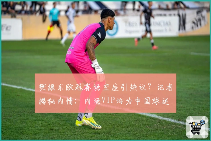 樊振东欧冠赛场空座引热议？记者揭秘内情：内场VIP均为中国球迷