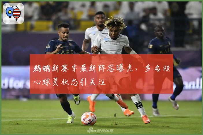 鹈鹕新赛季最新阵容曝光，多名核心球员状态引关注