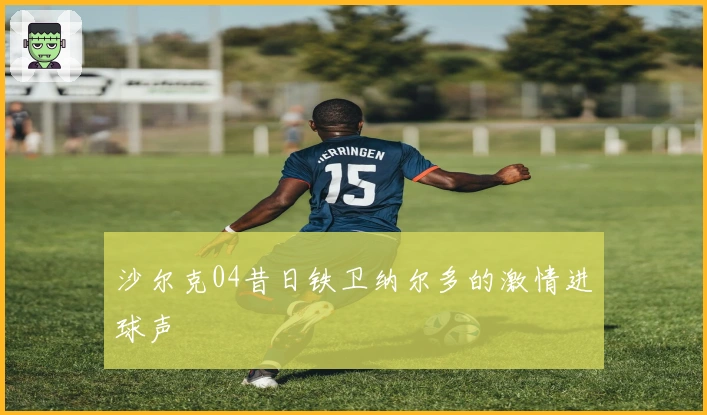 沙尔克04昔日铁卫纳尔多的激情进球声