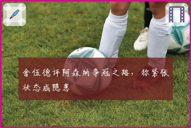 舍伍德评阿森纳争冠之路，称紧张状态成隐患