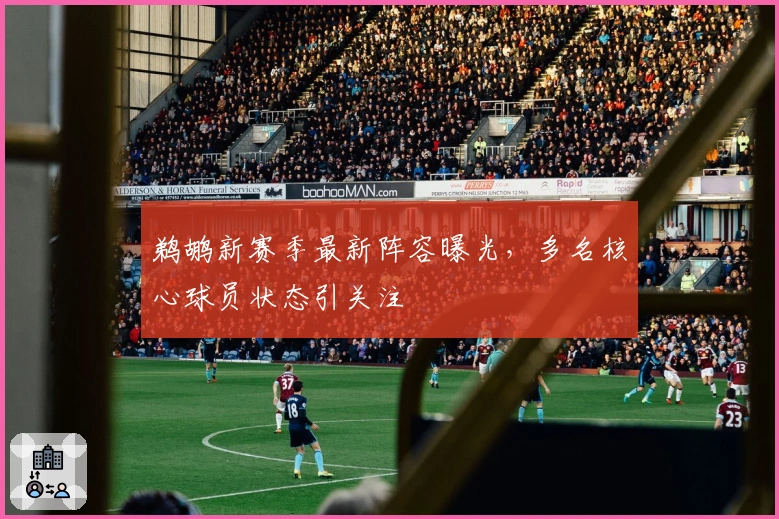 鹈鹕新赛季最新阵容曝光，多名核心球员状态引关注